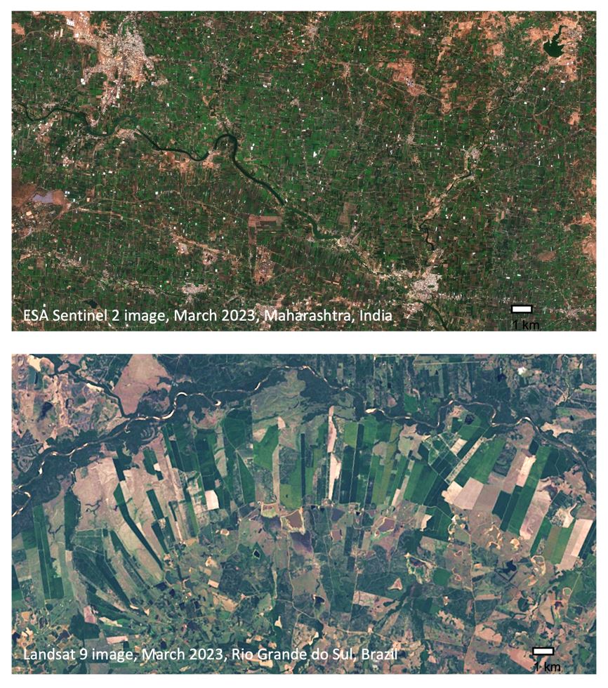 Agmatix NASA Harvest Satellite Imagery.JPG