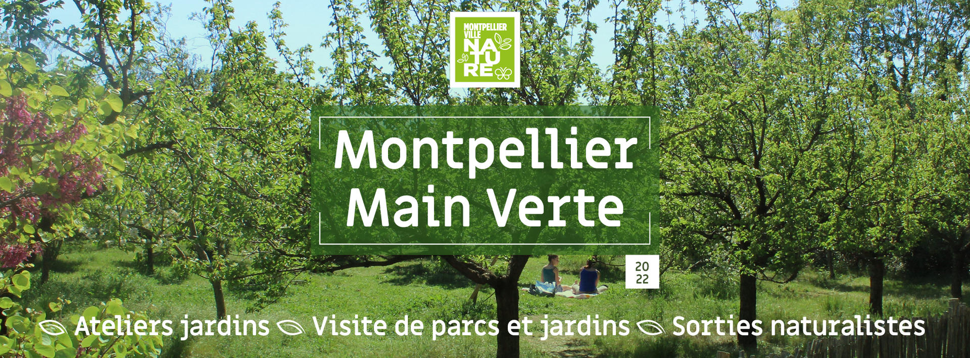Montpellier Main Verte.jpg