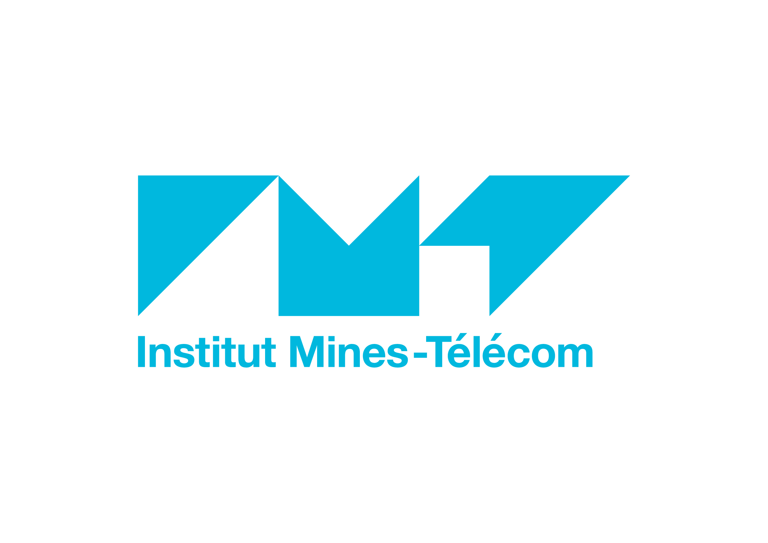 Logo IMT.jpg