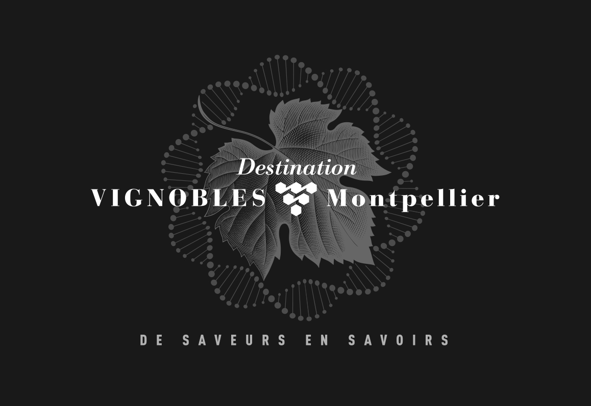 Logo Destination Vignobles.jpg