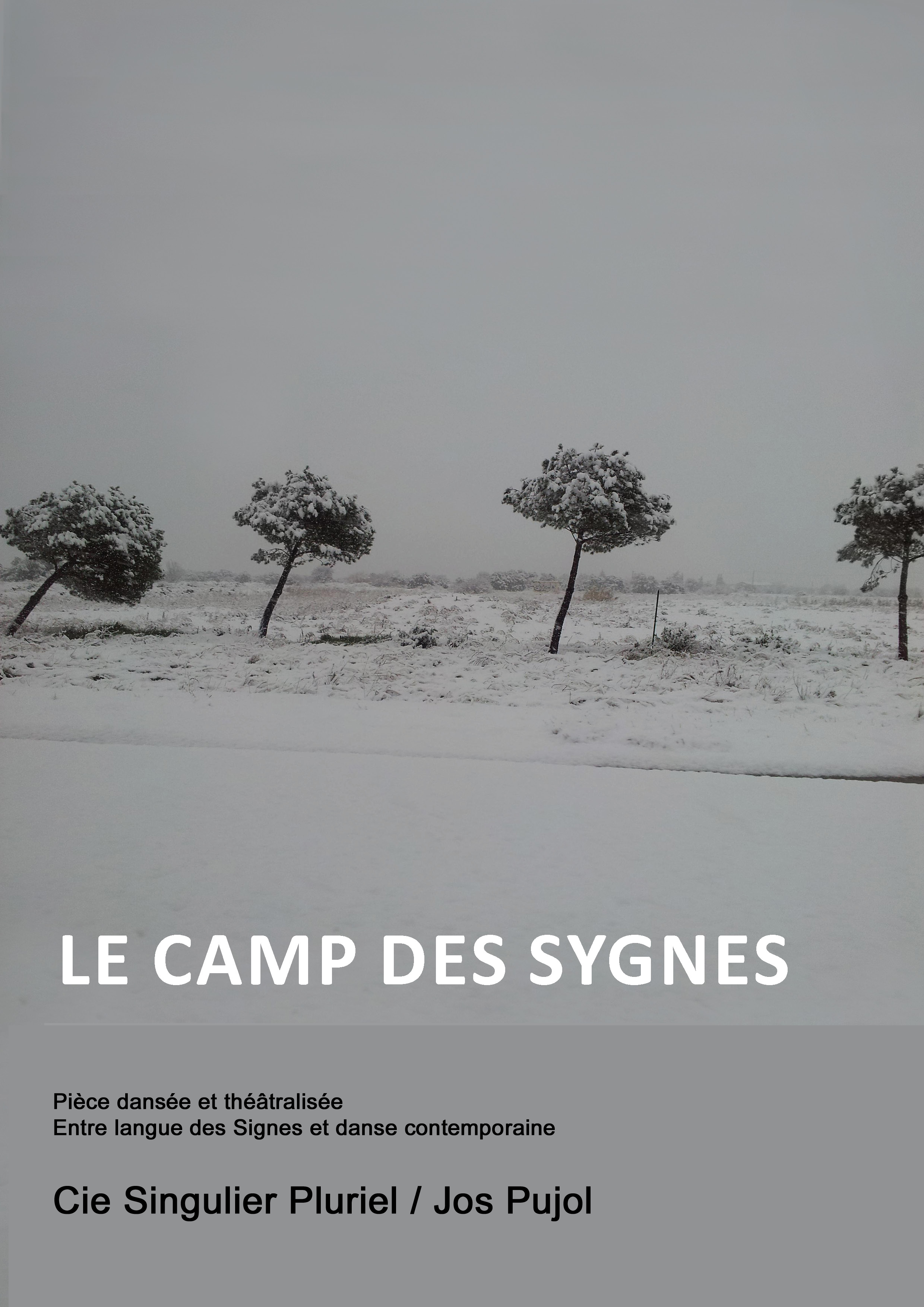 affiche Camp des Sygnes.jpg