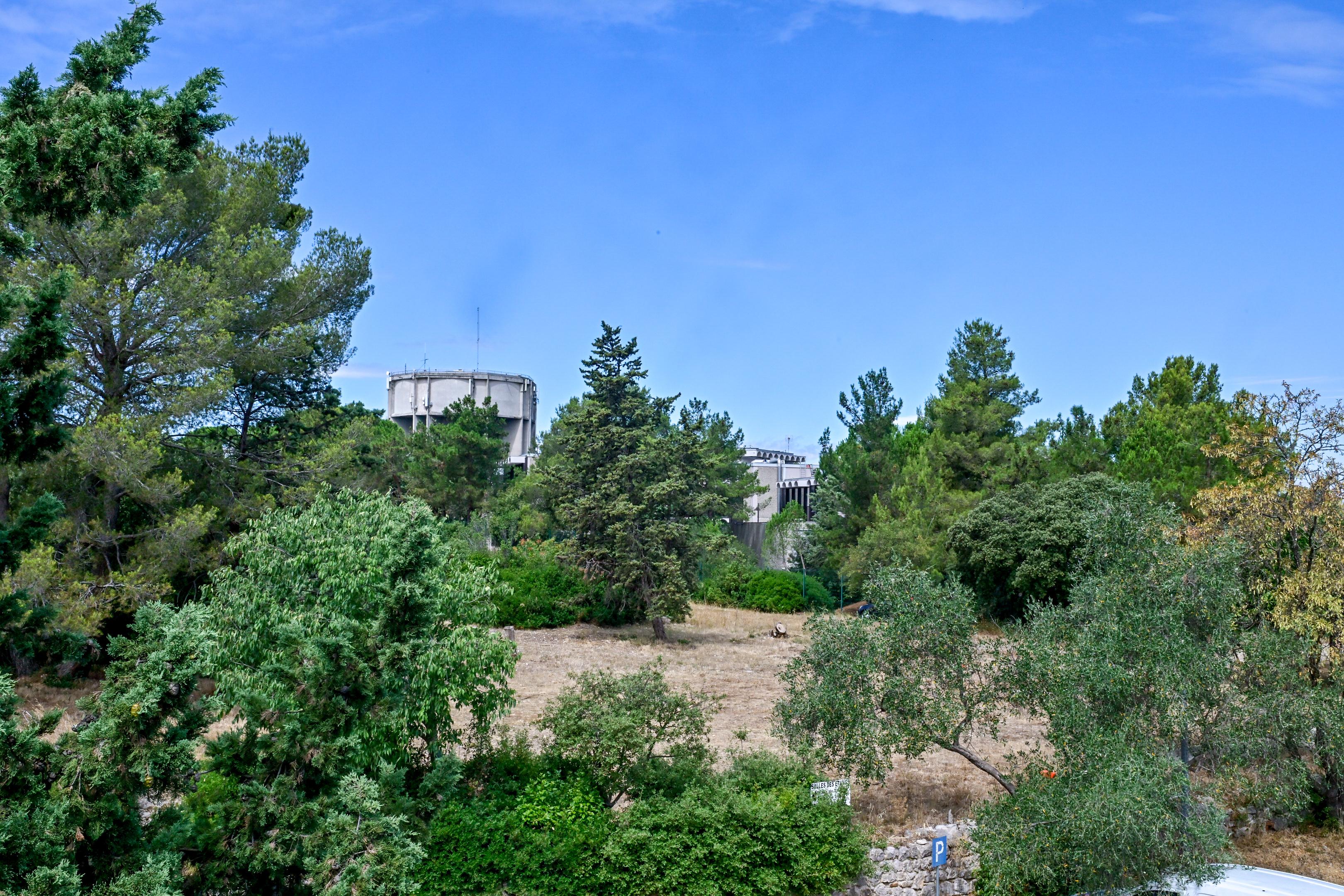 Parc.jpeg