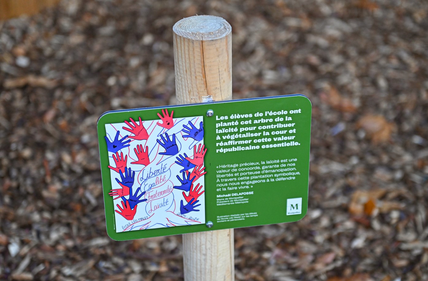 Capture d’écran 2025-12-08 120321.jpg