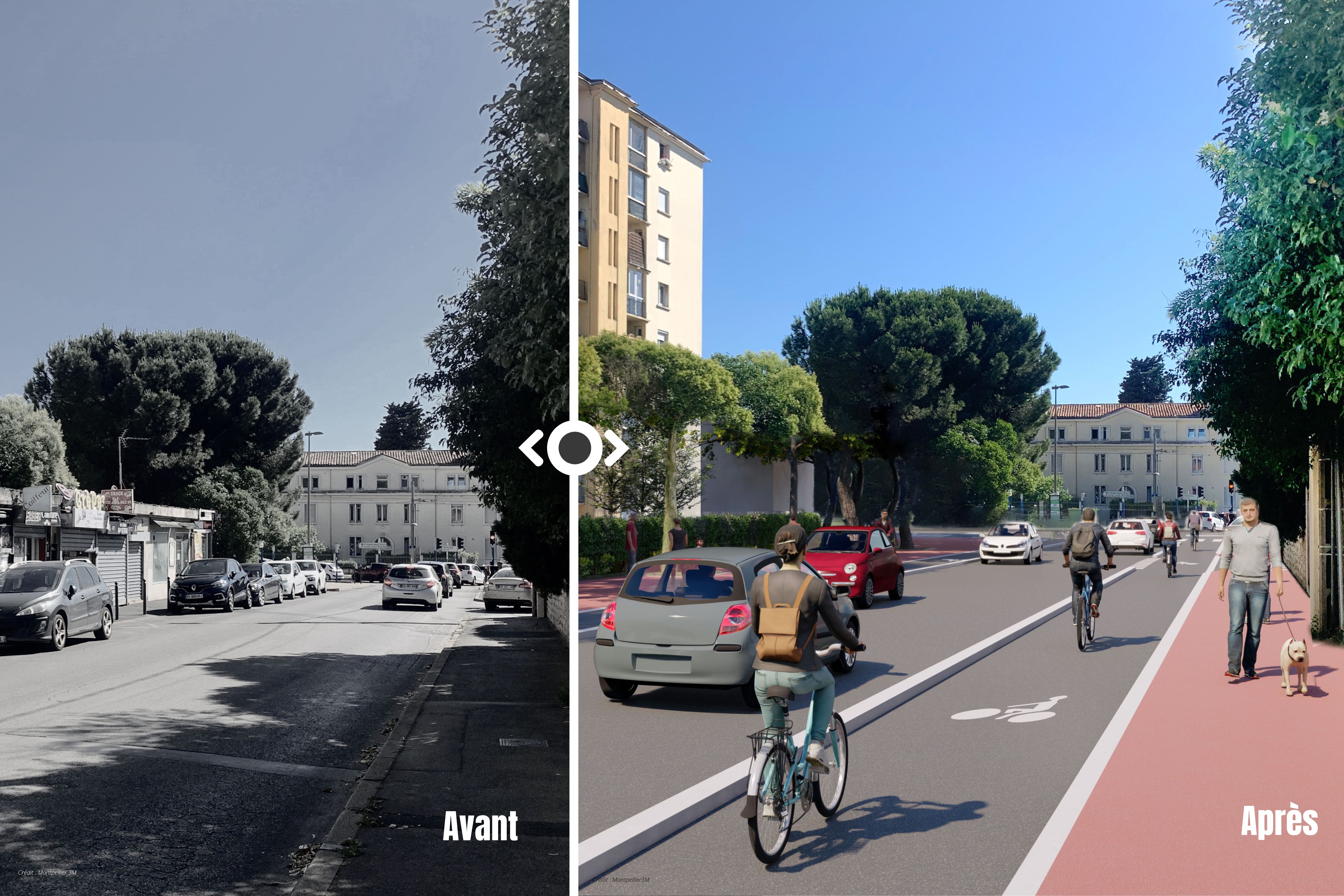 2025 12 16 Carton plume LAS SORBES_V2.jpg