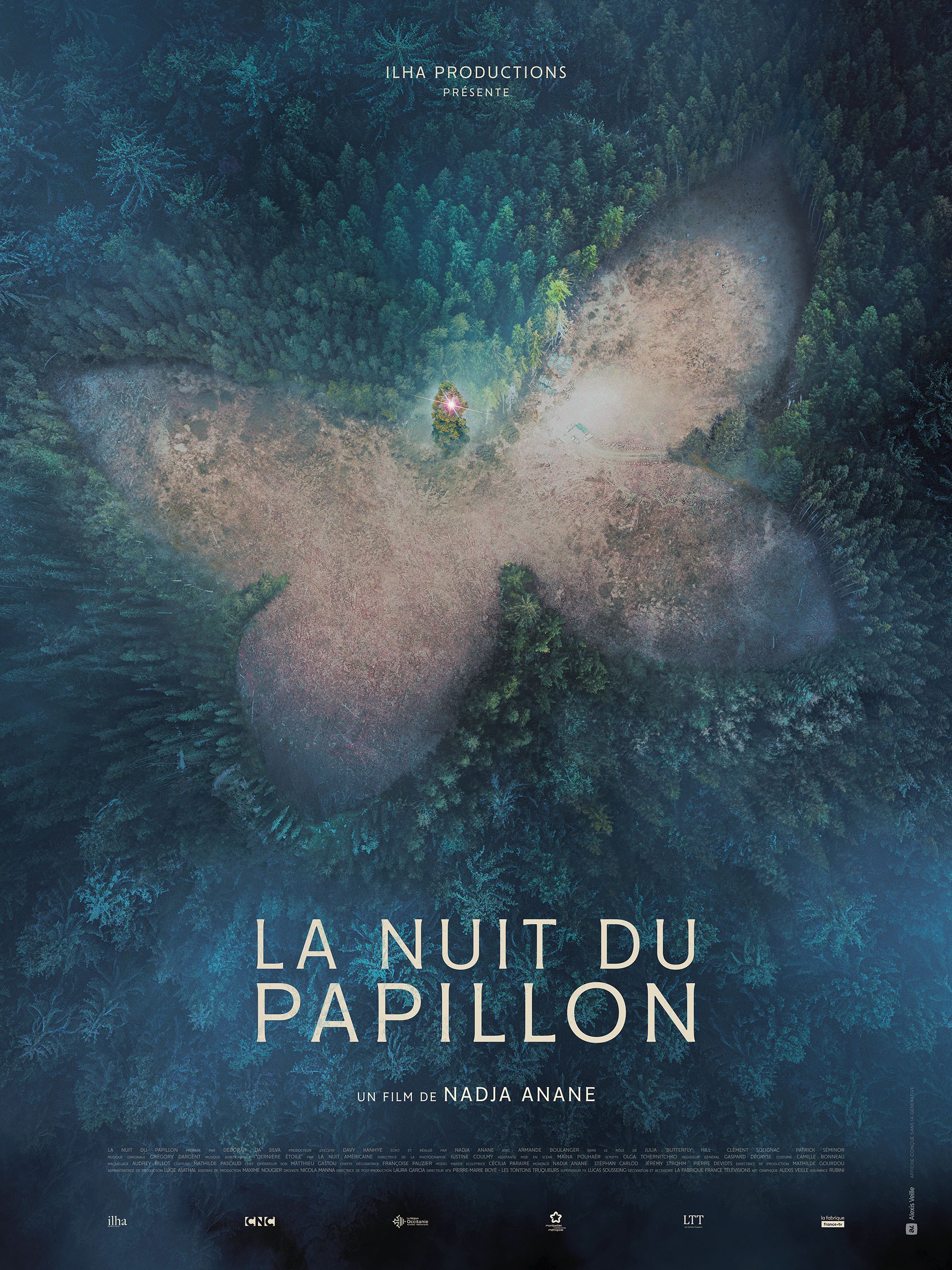 Affiche - La nuit du papillon.jpg