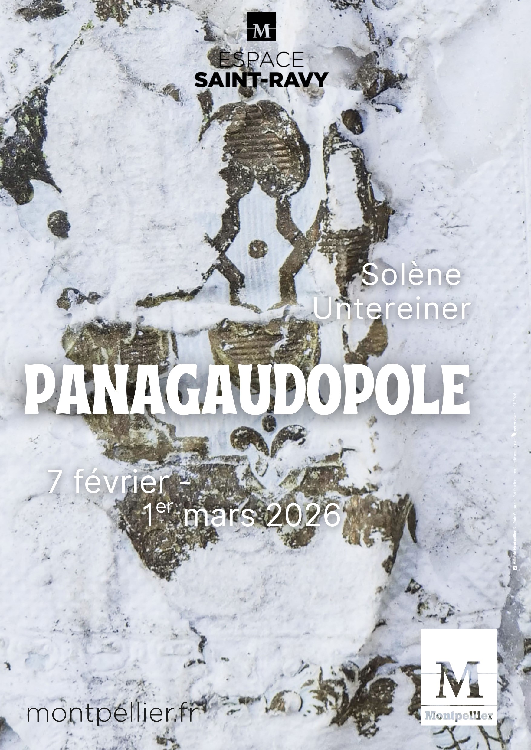 Solène Untereiner_Affiche .jpeg