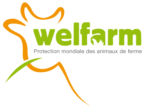 cropped-logo-Welfarm-1.png