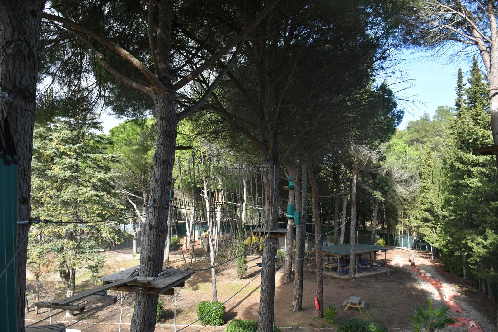 Accrobranche.4.jpg