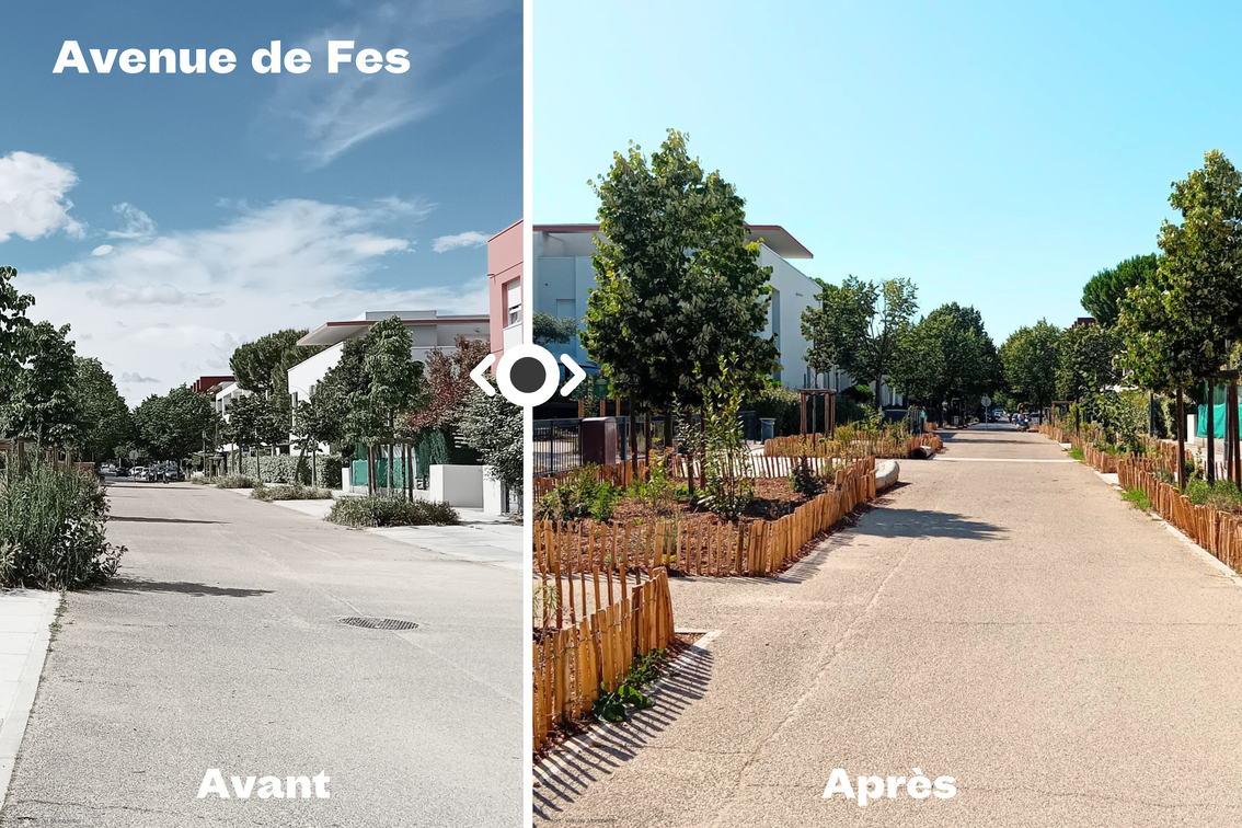 avenue.png