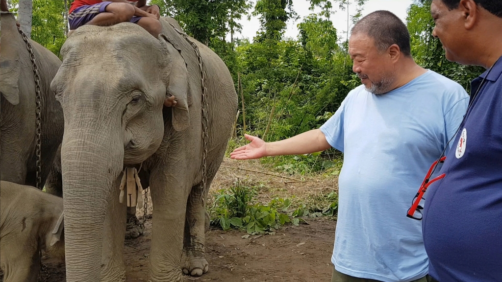Ai Weiwei und Dr. Amir Khalil mit Elefanten 2_sm.jpg