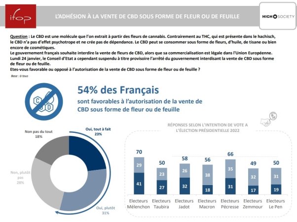 Présidentielles 2022 : un nouveau sondage IFOP sur le cannabis - les français  largement favorables à la vente de CBD VcsPRAsset_3526574_732685_07ee614b-8107-4d59-8b2e-7f725d27e352_0