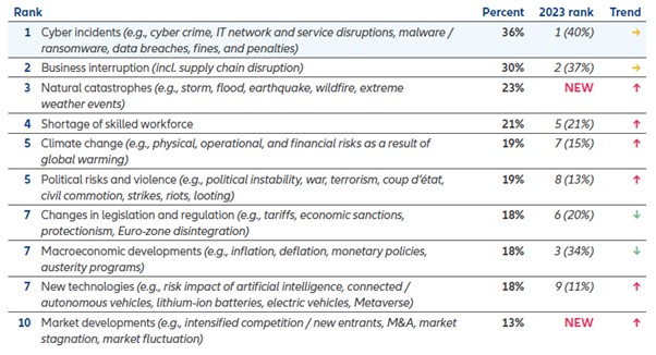 10 Global Risks.jpg
