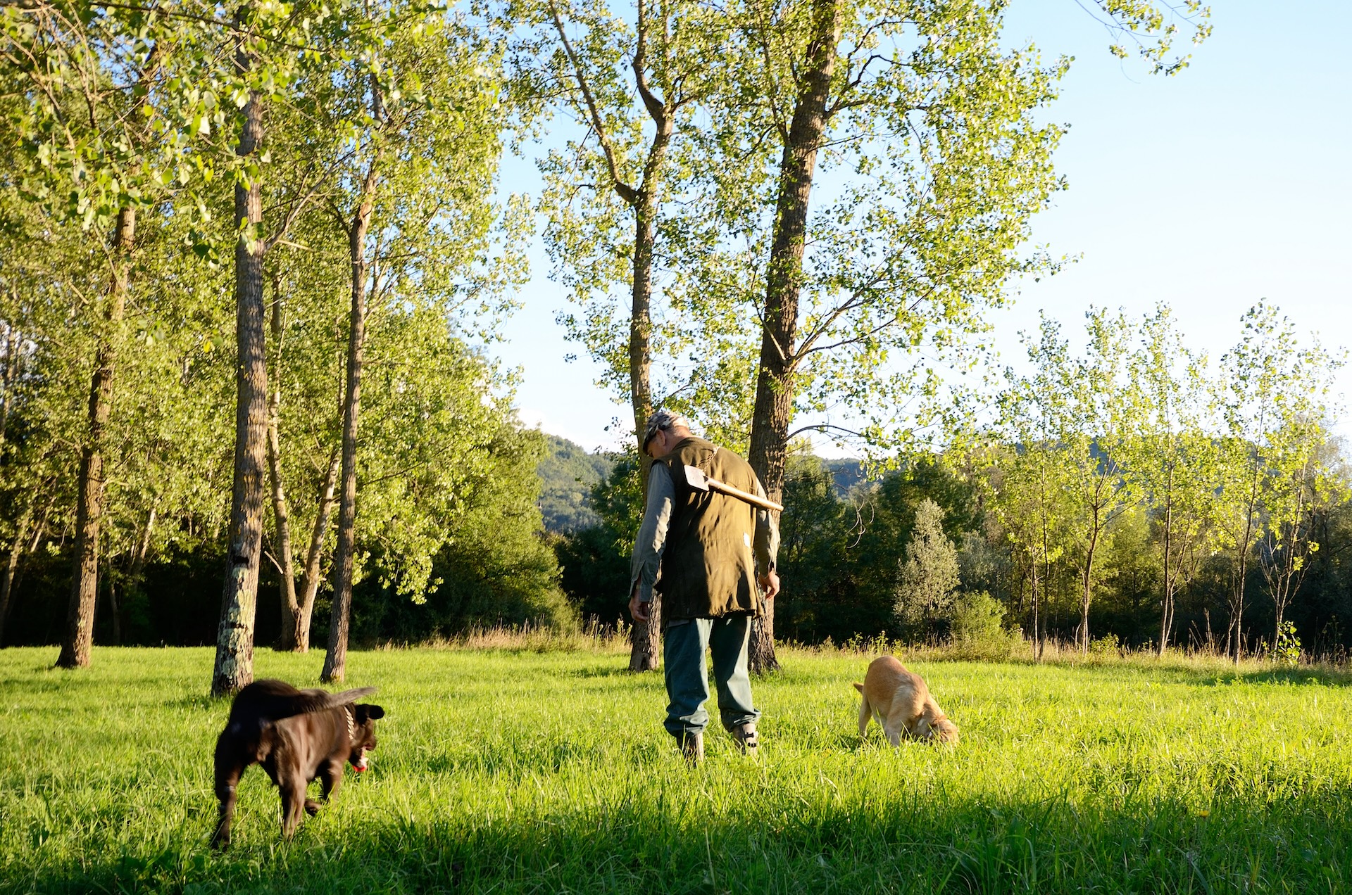 Truffle Hunting_small.jpg