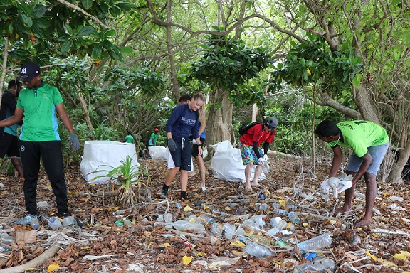 Plastic debris in the protected area.jpg