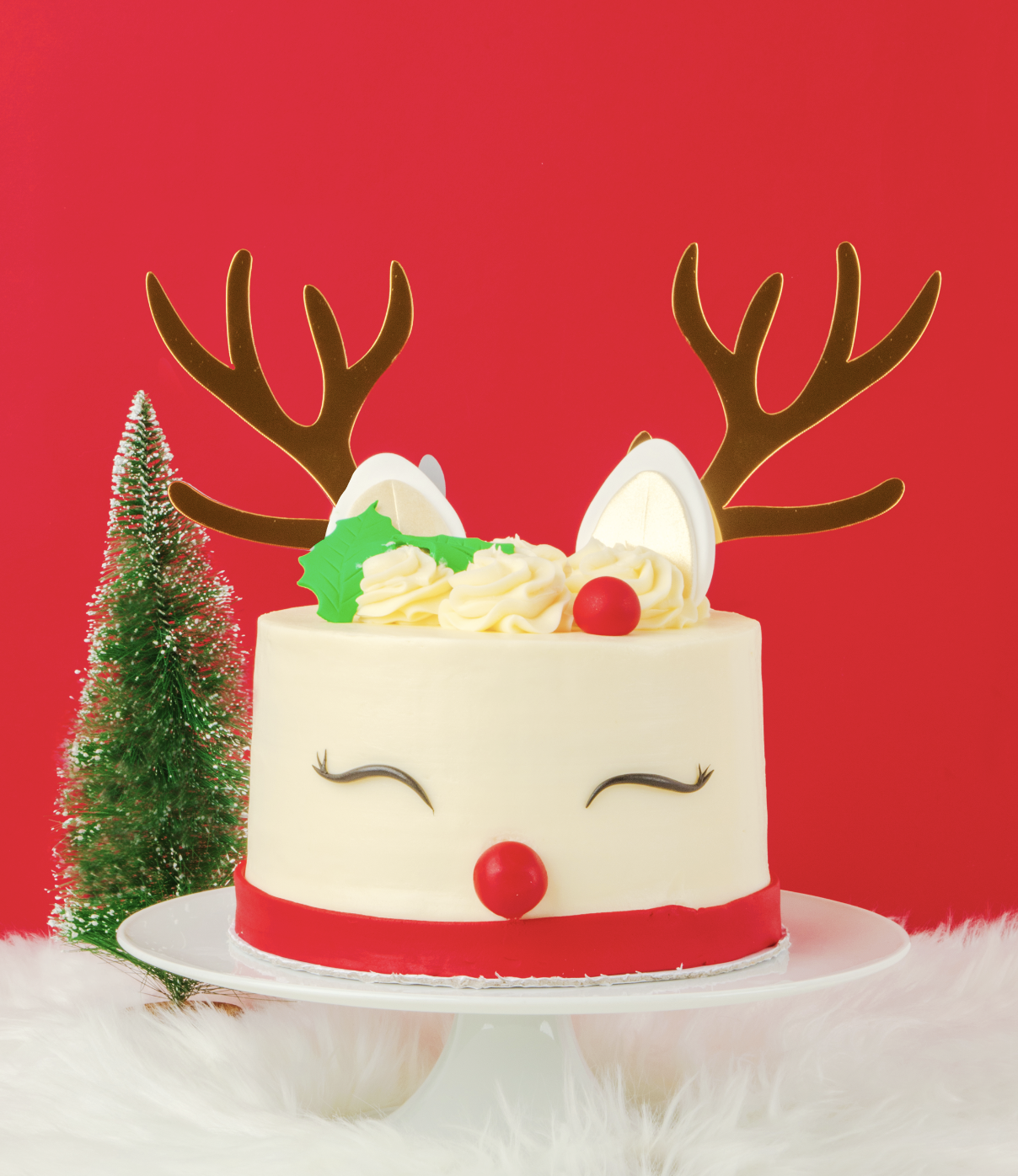 Reindeer Cake .png