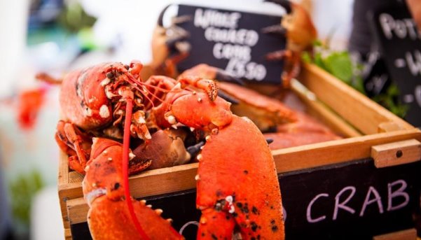 A lobster in a box AI-generated content may be incorrect