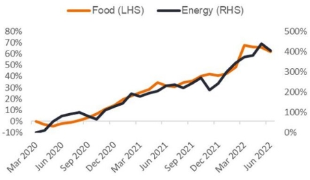 UN_food_energy_inflation_en