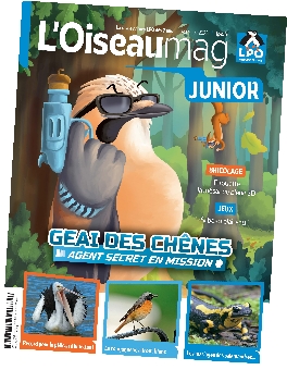 L’Oiseau Magazine Junior, une revue qui agit pour la biodiversité VcsPRAsset_3880428_384952_19dfdeba-d48f-4fc1-b34a-7842d9c3c31c_0