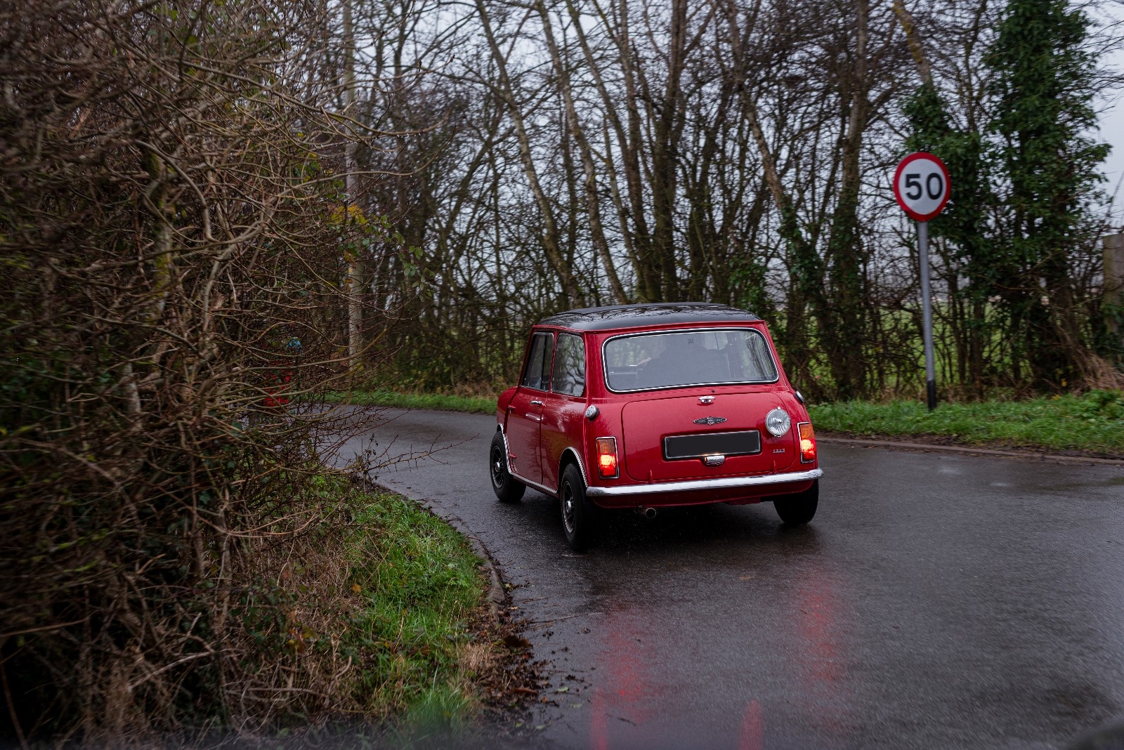Tolman Mini dynamic 4.jpg