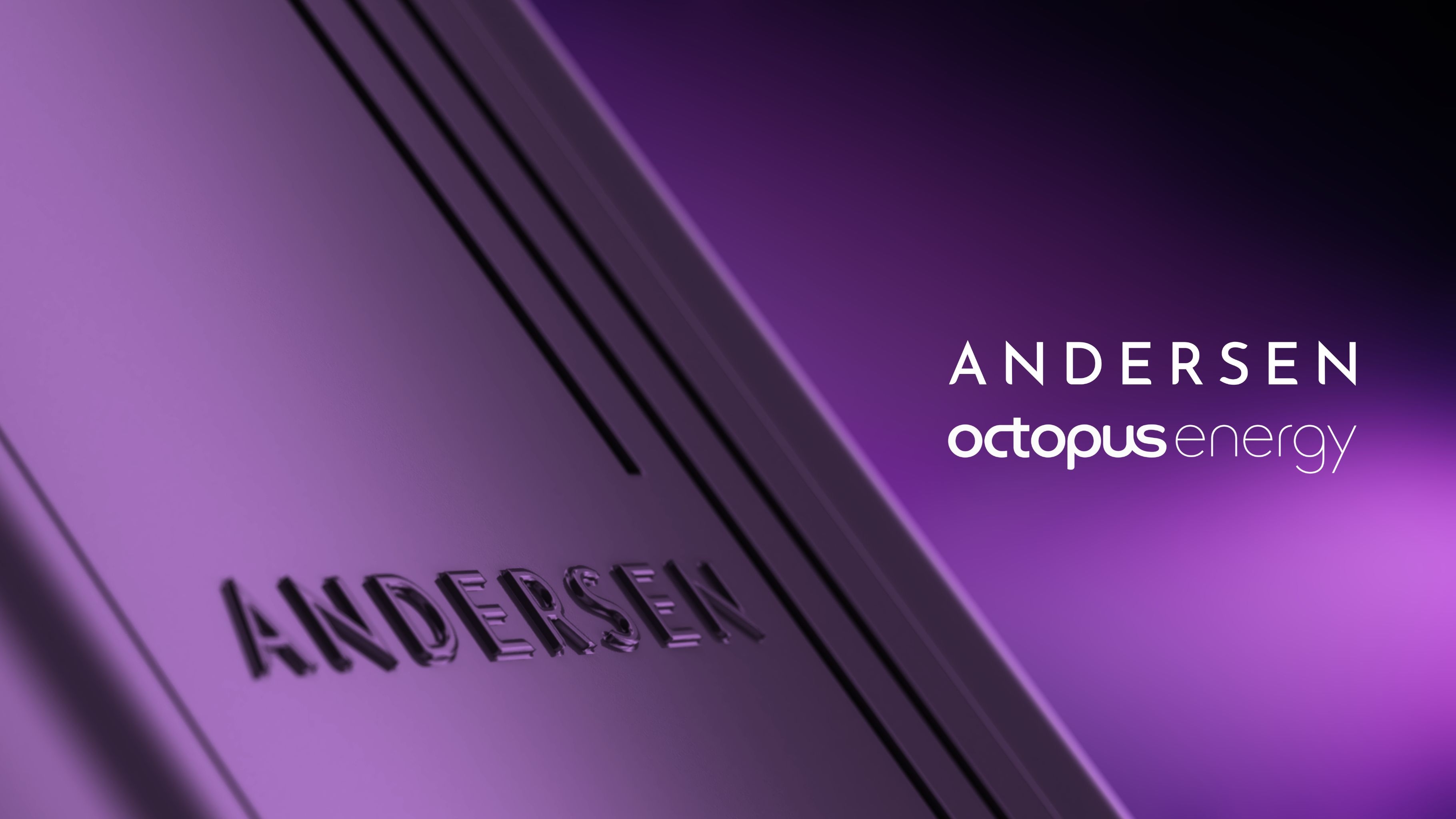 Andersen_octopus_purple_banner.jpg