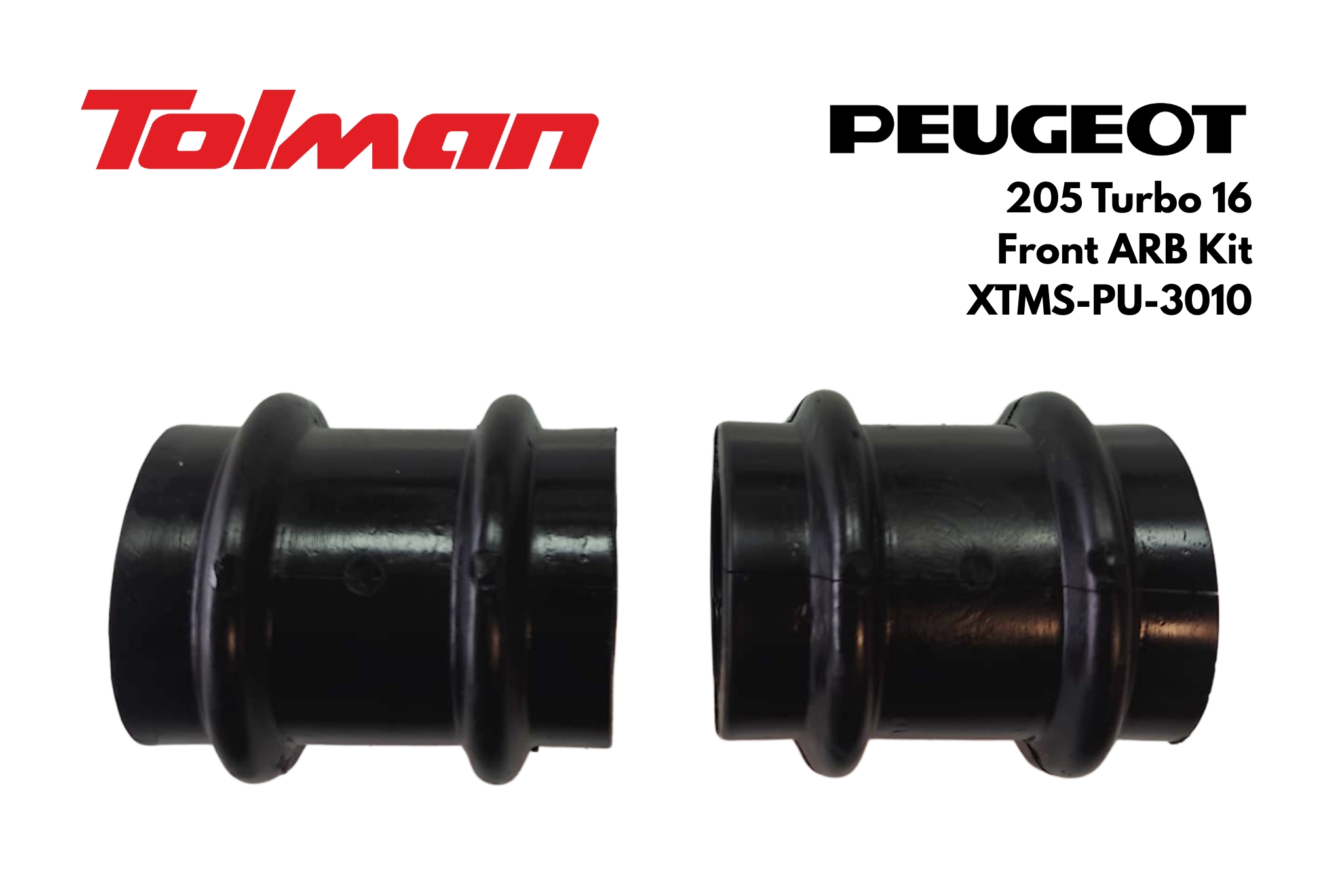 Tolman Peugeot 205 Turbo 16 XTMS-PU-3010.jpg