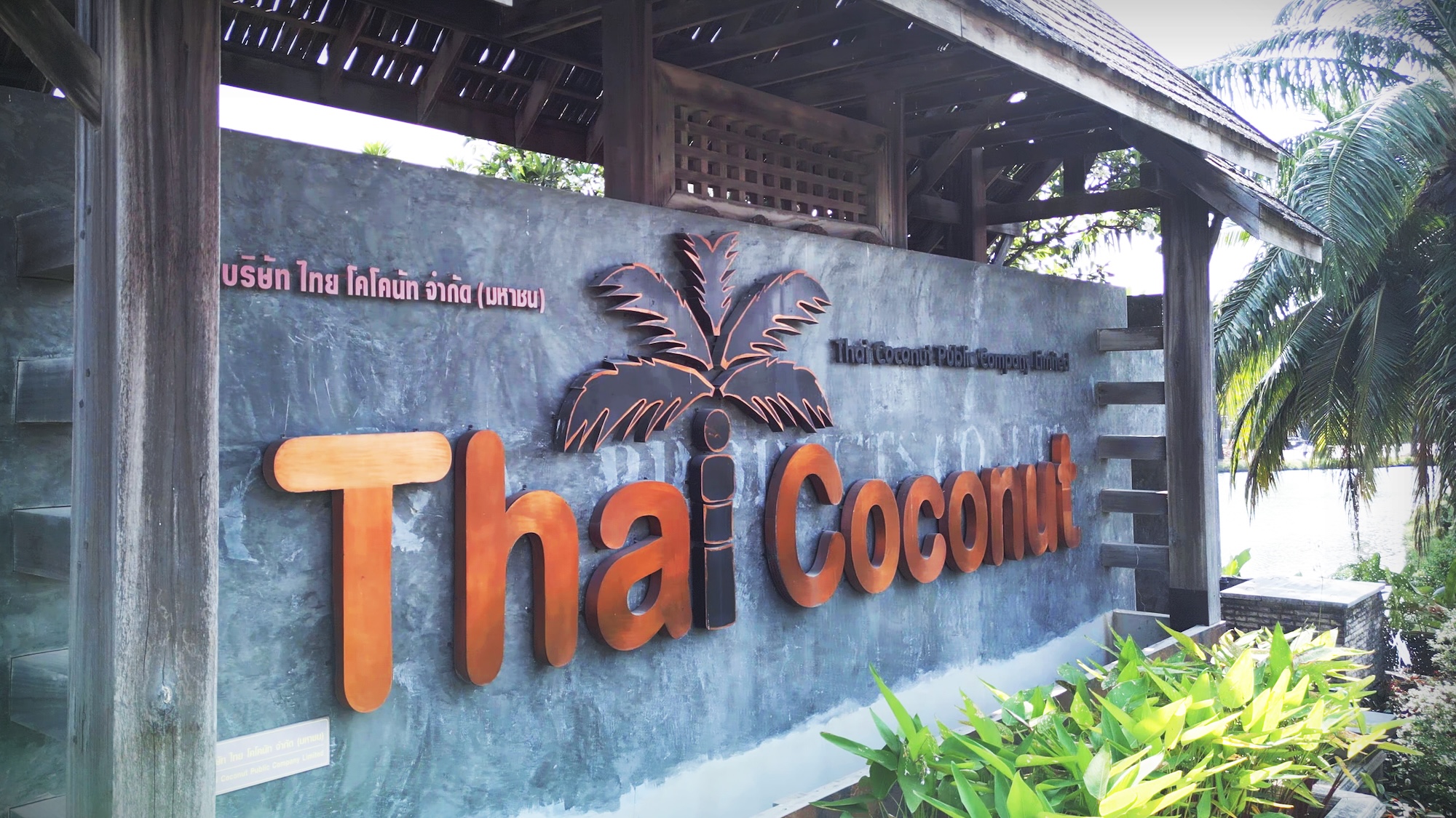 Thai Coconut 4.jpg